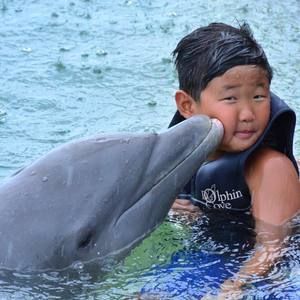 Meet your Posher, Helen